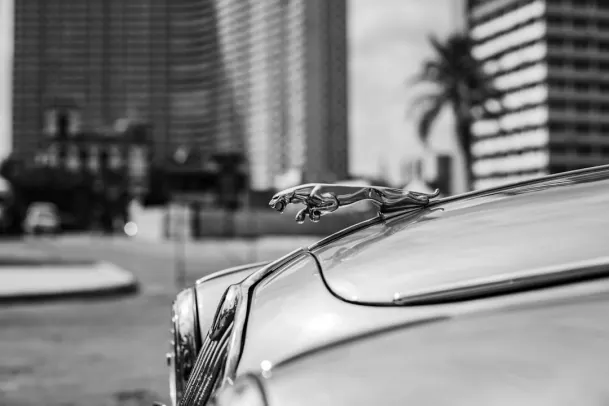 Cazino Loony Bingo Cazinou Aplicație Android/iOS